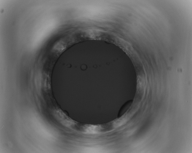 X0000089350527200707061027