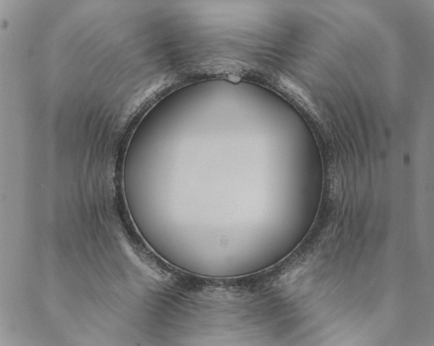 X0000089350538200707061027