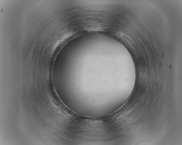 X0000089350539200707061027