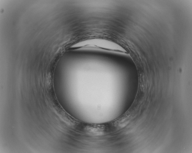 X0000089350563200707061027