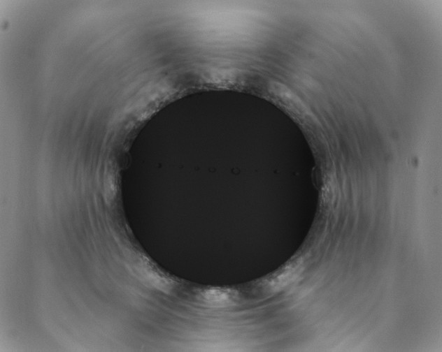 X0000089350566200707061027