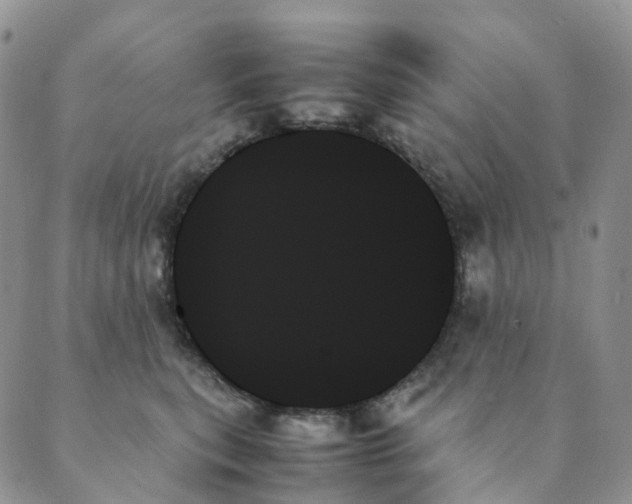 X0000089350567200707061027