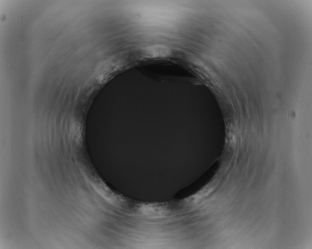 X0000089350568200707061027