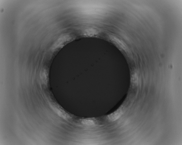 X0000089350572200707061027