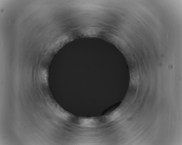 X0000089350575200707061027