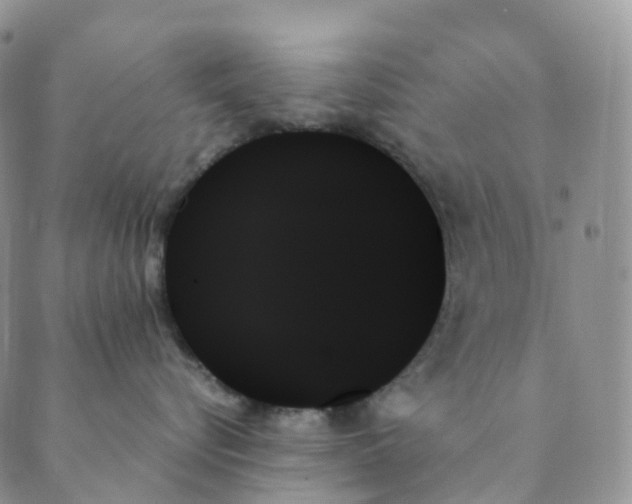 X0000089350576200707061027