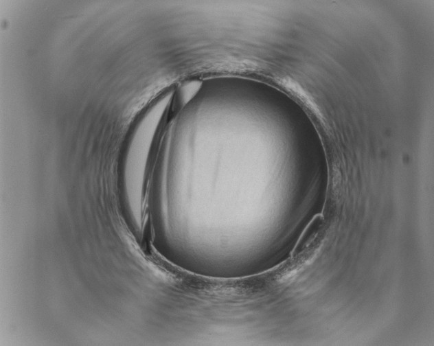 X0000089350581200707061027