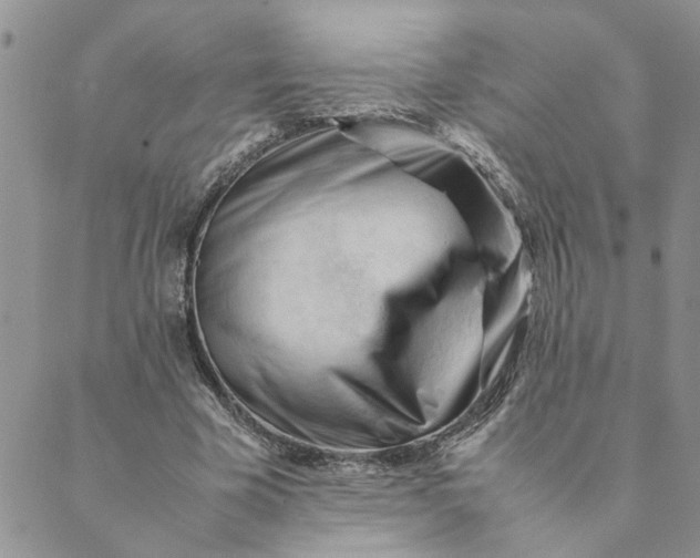 X0000089350585200707061026