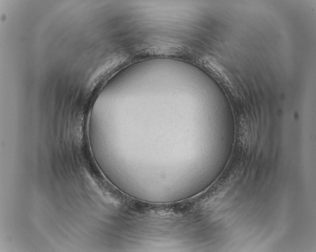X0000089350586200707061026