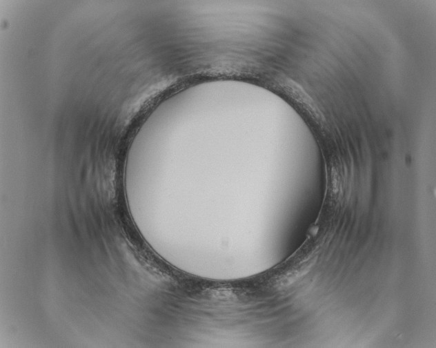 X0000089350588200707061026