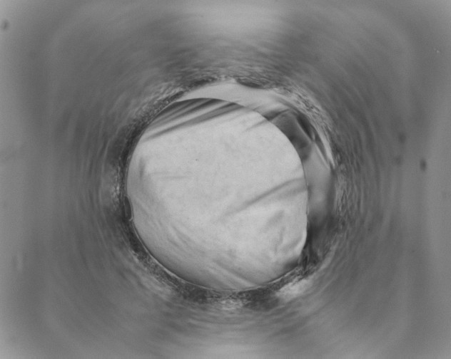 X0000089350593200707061026