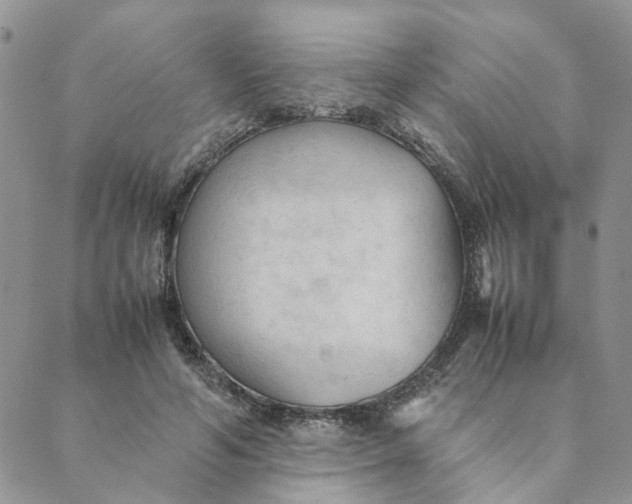X0000089350594200707061026