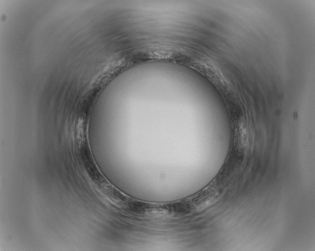 X0000089350598200707061026