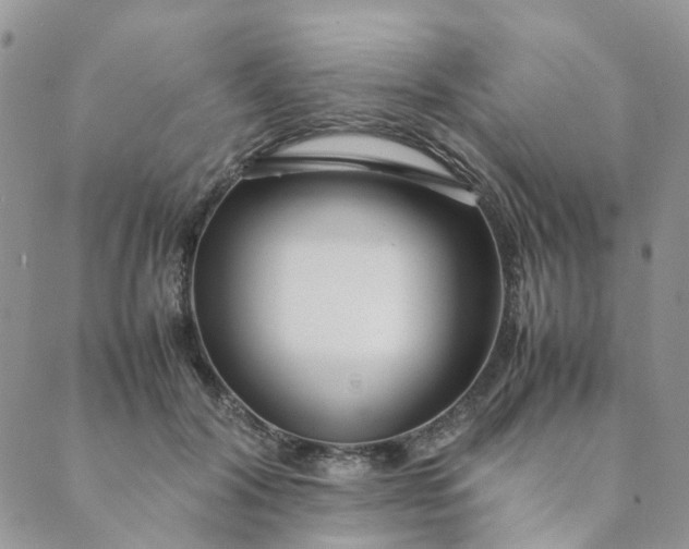 X0000089350604200707061026