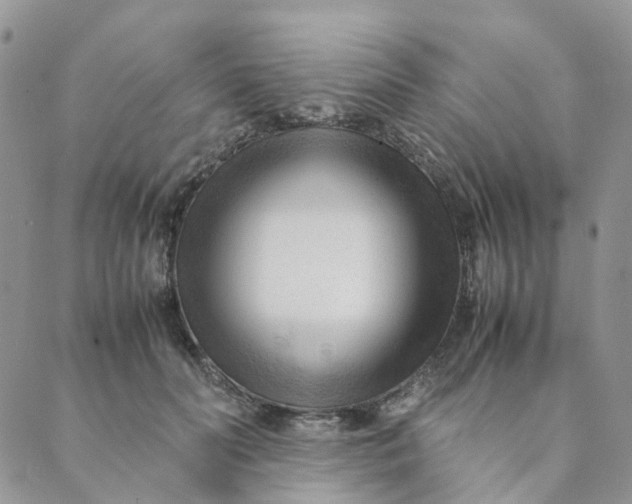 X0000089350606200707061026