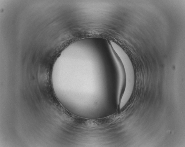 X0000089350608200707061026