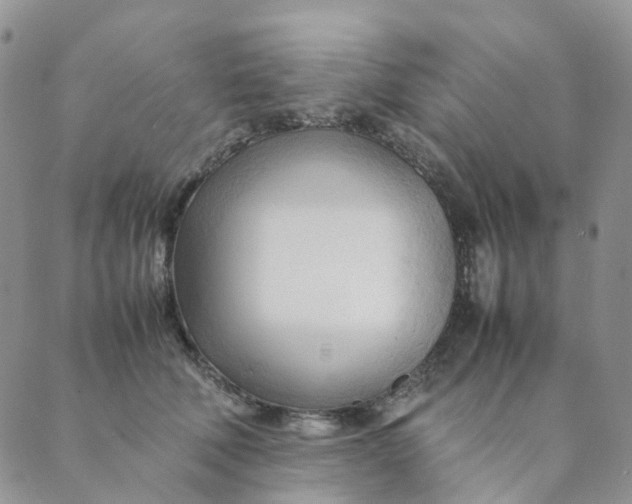 X0000089350610200707061026