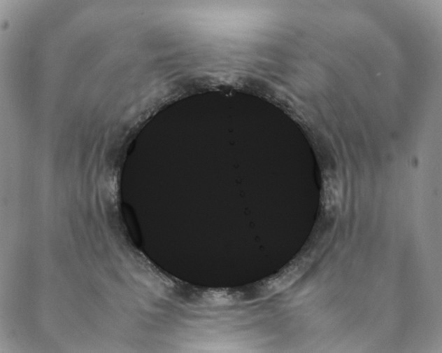 X0000089350613200707061026