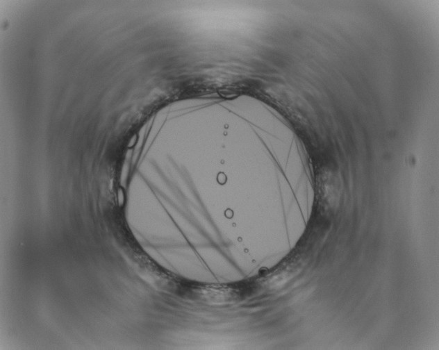 X0000089350615200707061026