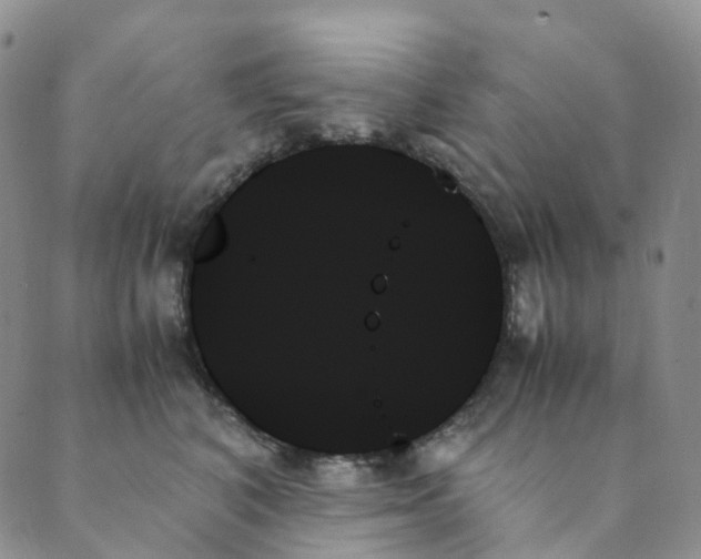 X0000089350616200707061026