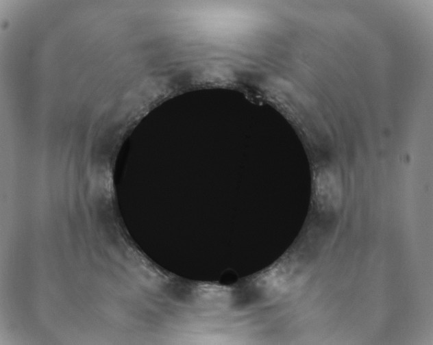 X0000089350617200707061026