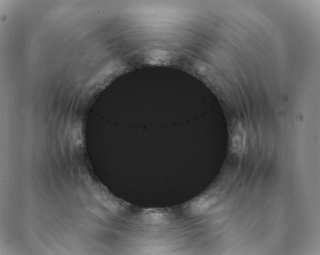 X0000089350620200707061026
