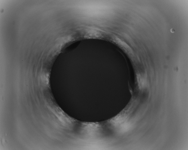 X0000089350621200707061026
