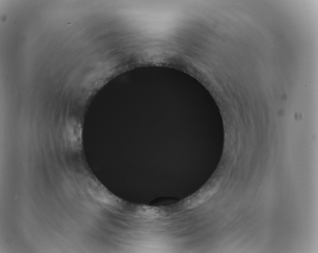 X0000089350624200707061026