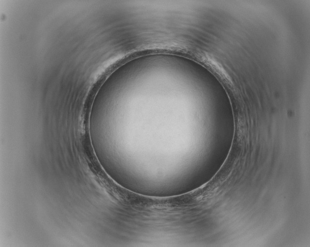 X0000089350628200707061025