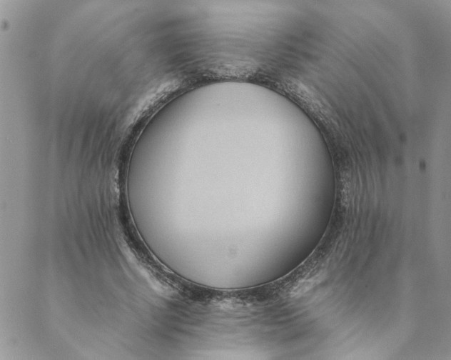 X0000089350634200707061025