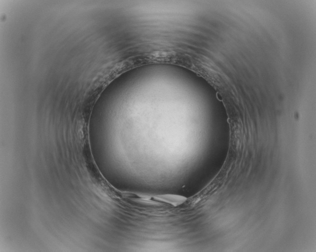 X0000089350654200707061026