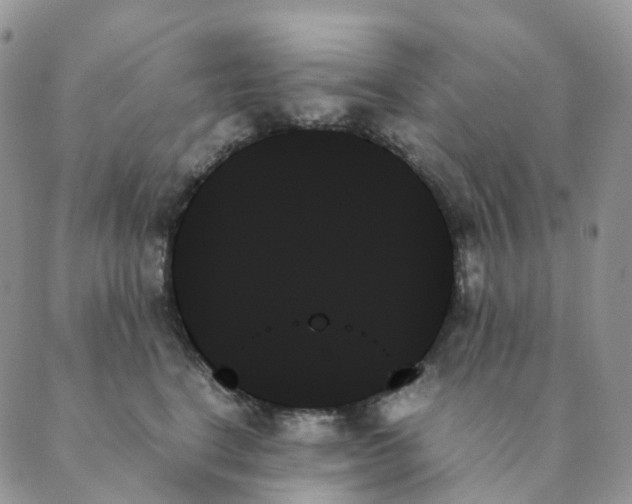 X0000089350664200707061026