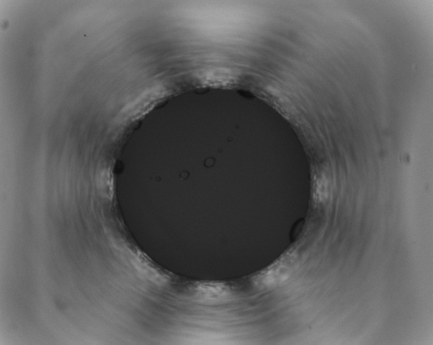 X0000089350666200707061026