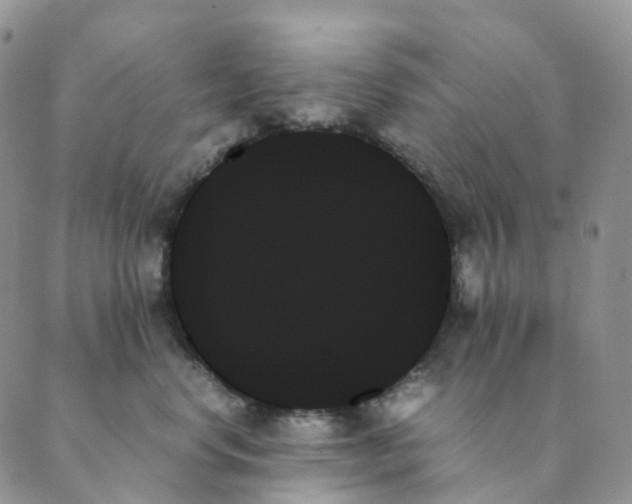 X0000089350668200707061026