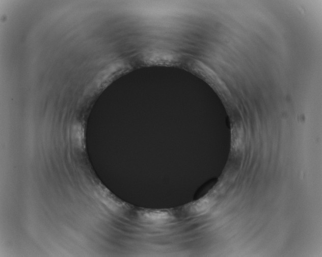 X0000089350669200707061026