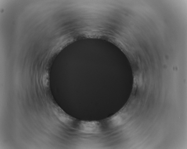 X0000089350671200707061026