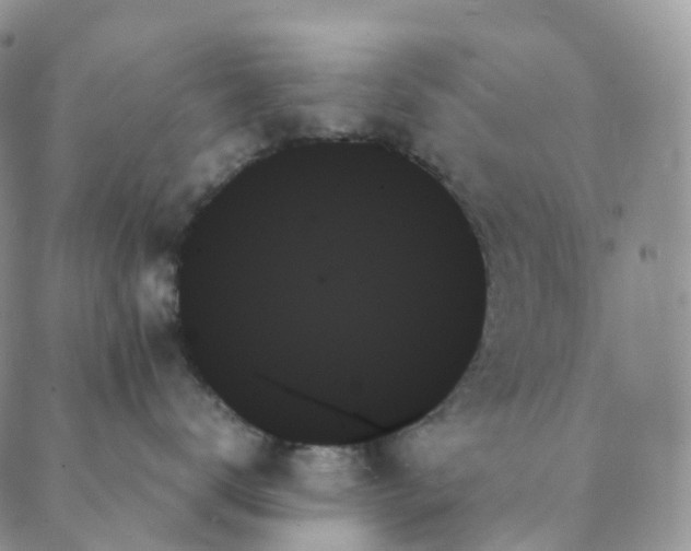 X0000089350672200707061026