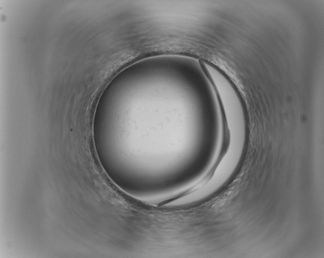 X0000089350673200707061025