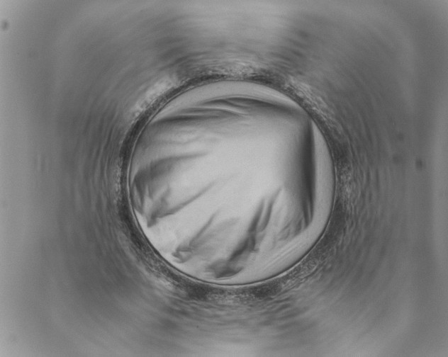 X0000089350679200707061025