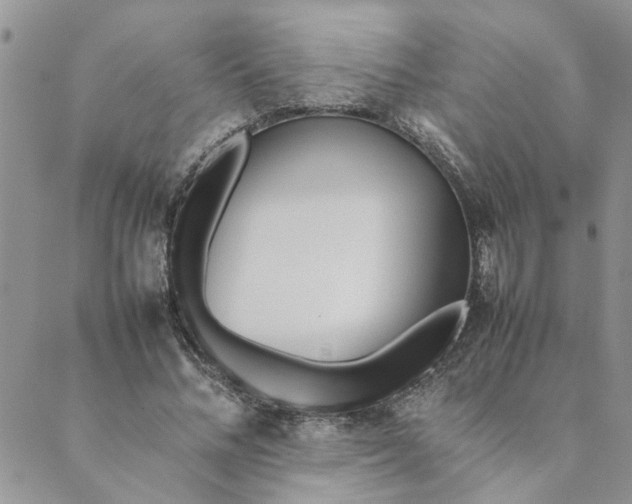 X0000089350684200707061025