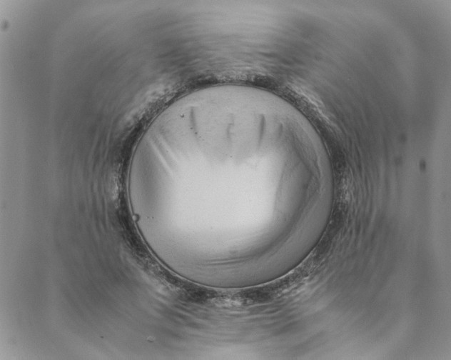 X0000089350687200707061025