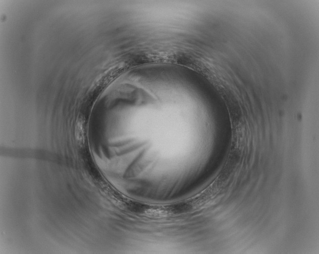 X0000089350699200707061025