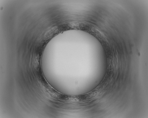 X0000089350702200707061025