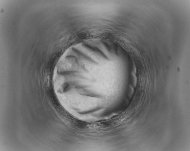 X0000089350703200707061025