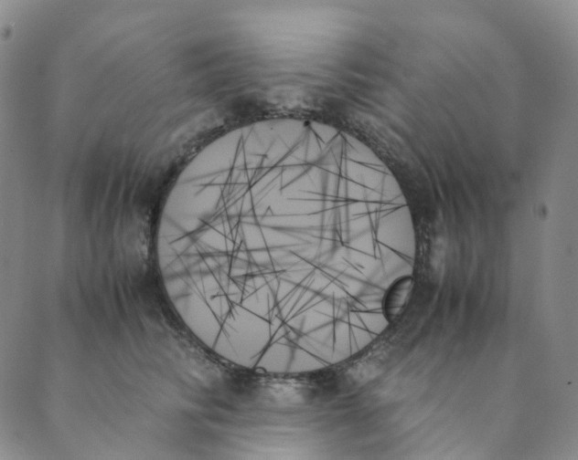 X0000089350710200707061024