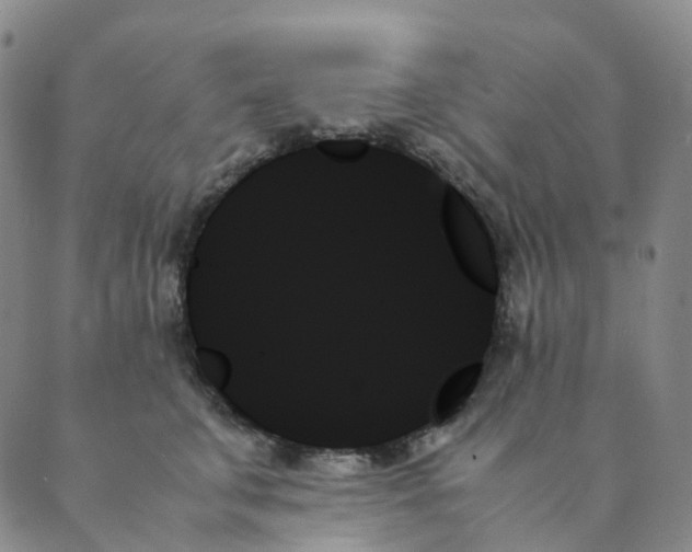 X0000089350711200707061024