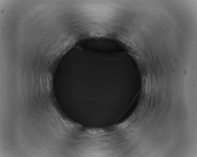X0000089350712200707061024