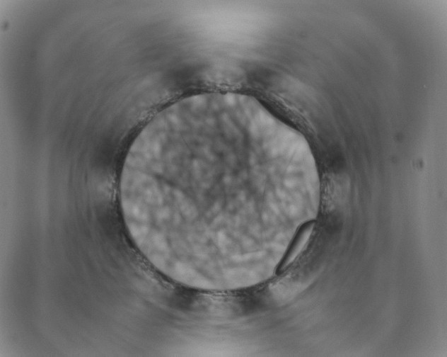 X0000089350713200707061024