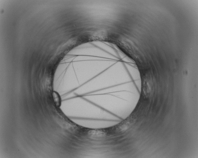 X0000089350714200707061024