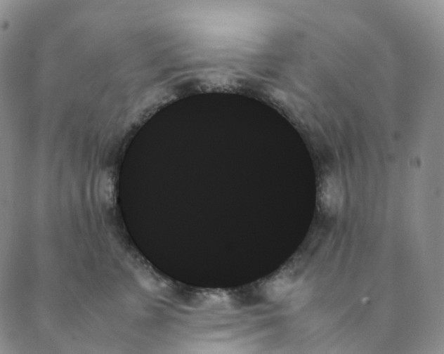 X0000089350715200707061024